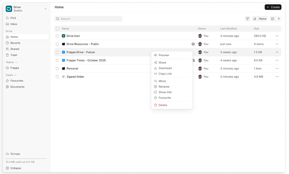 Frappe Drive file management interface showing preview, sharing, download, rename, move, and permission options.