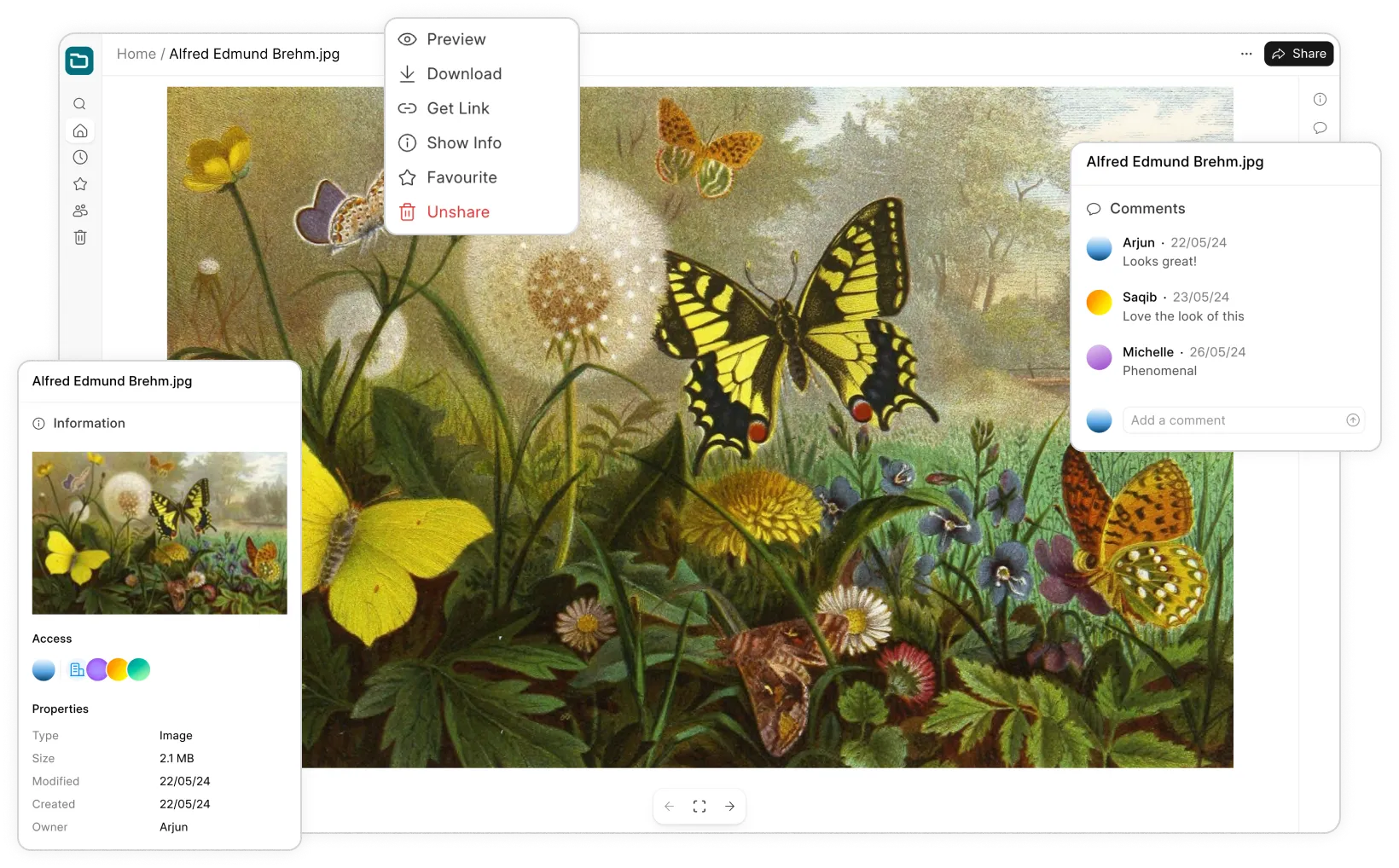 Preview without downloading