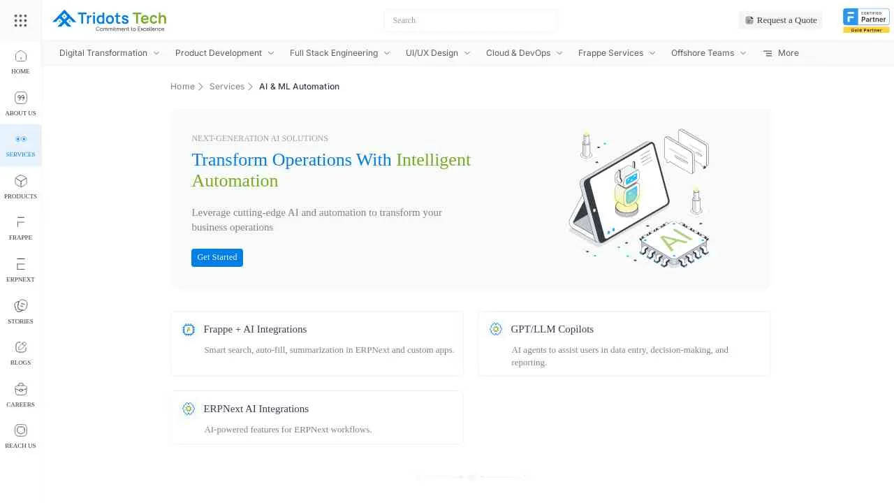 AI & ML Automation Services | Tridots Tech