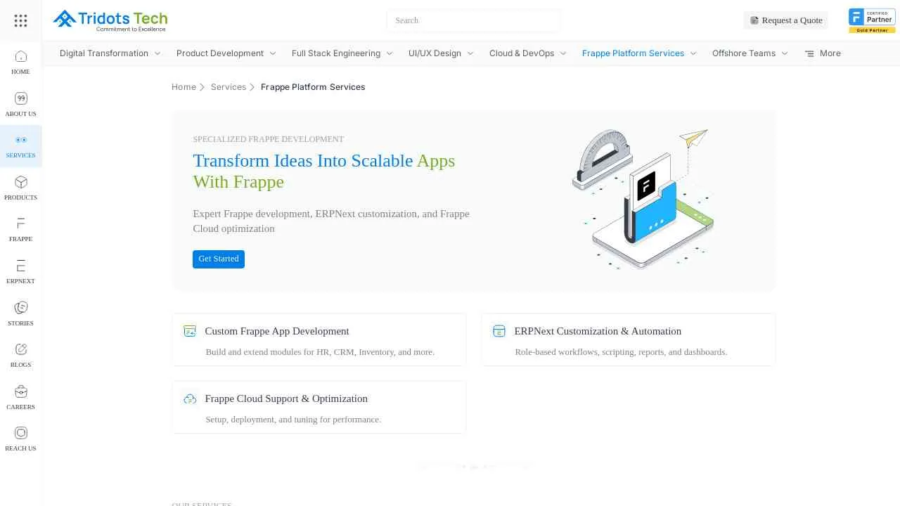 Frappe Development Services India | Custom Apps & ERPNext Expert ...