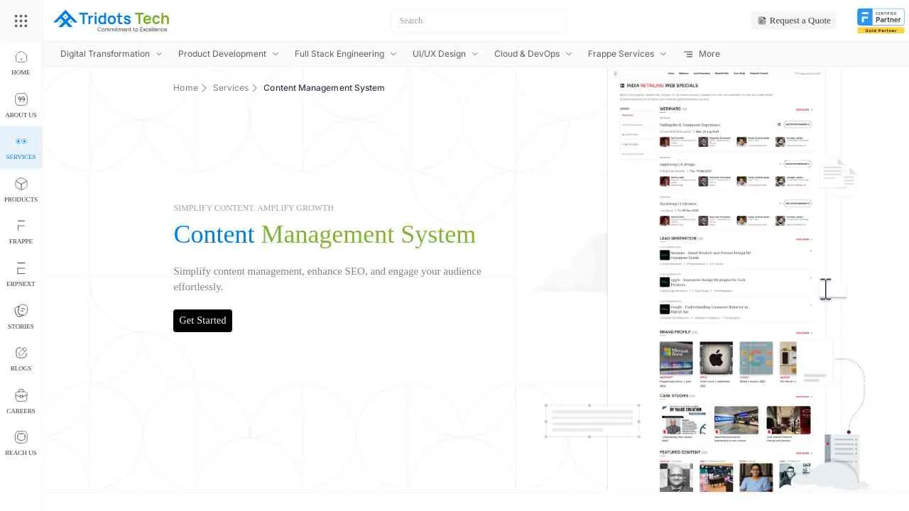CMS Development Company in Chennai | Custom Content Management System ...